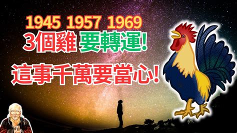 1969年屬雞運勢|【1969生肖雞】1969年生肖雞2023流年運勢完整解析！54歲屬雞。